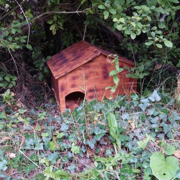 wildlife boxes at red deer village holiday park