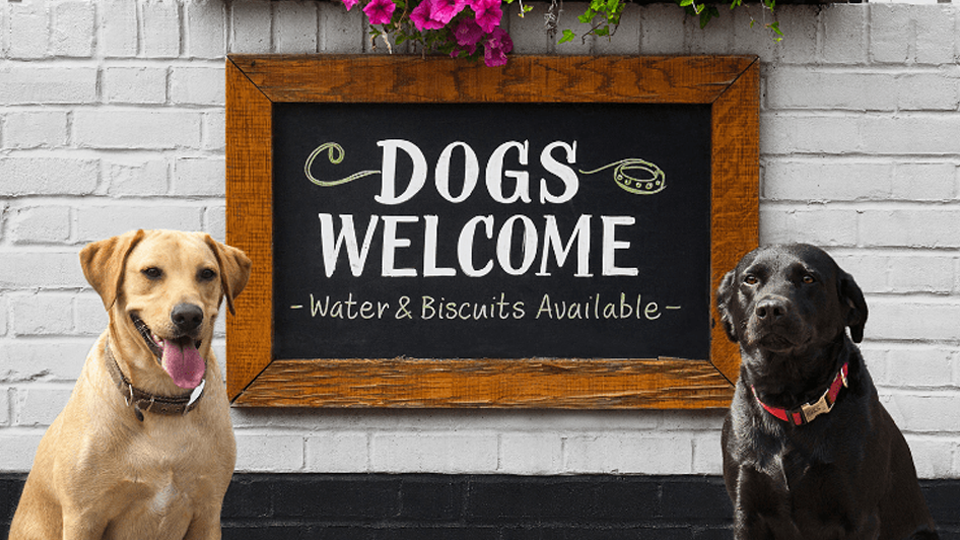 Dog Friendly Pubs & Restaurants Glasgow